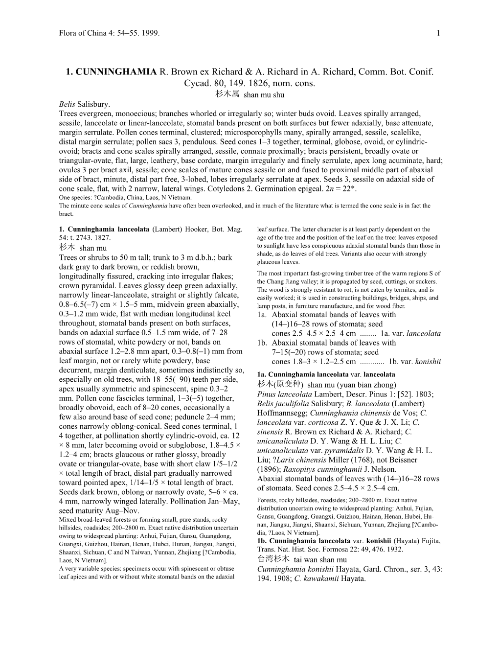 1. CUNNINGHAMIA R. Brown Ex Richard & A. Richard in A. Richard
