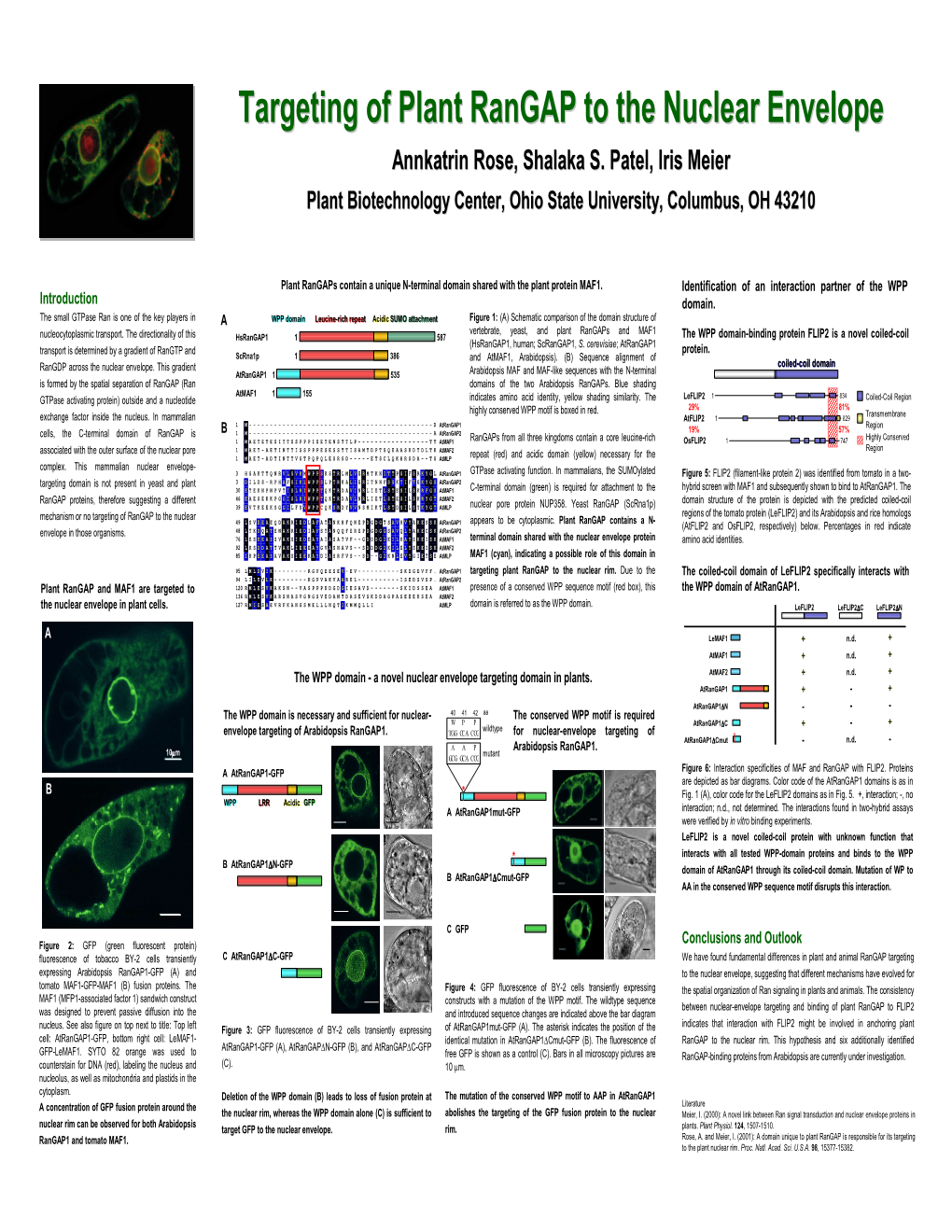 Targeting of Plant Rangap to the Nuclear Envelope Annkatrin Rose, Shalaka S