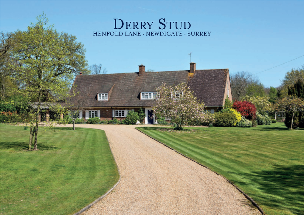 Derry Stud Henfold Lane • Newdigate • Surrey
