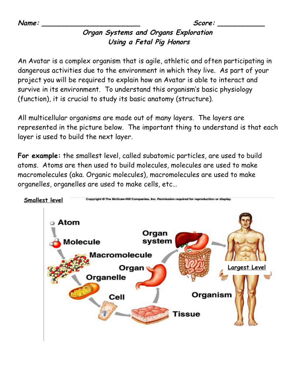 Fetal Pig Dissection: External Anatomy And Digestive System