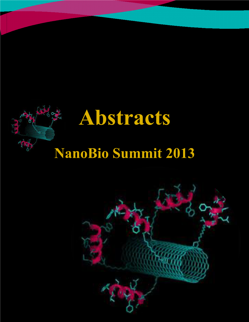 2013 Abstracts