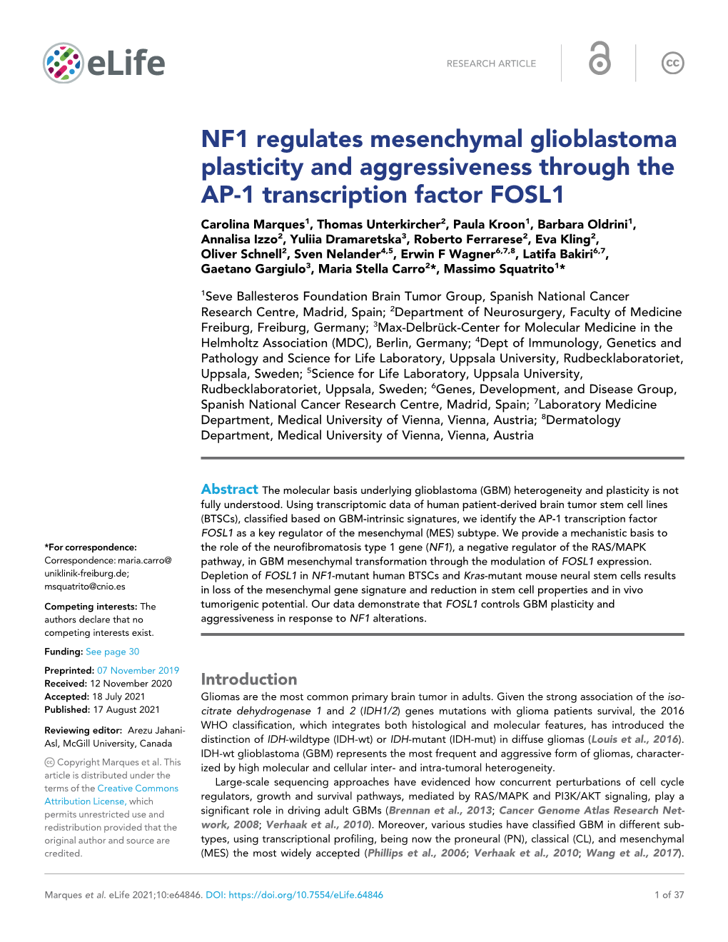 NF1 Regulates Mesenchymal Glioblastoma Plasticity And
