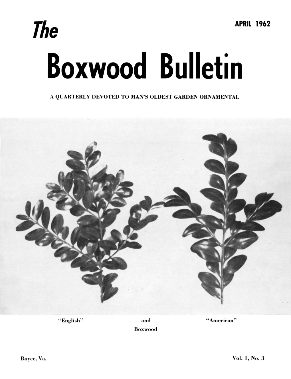Boxwood Bulletin