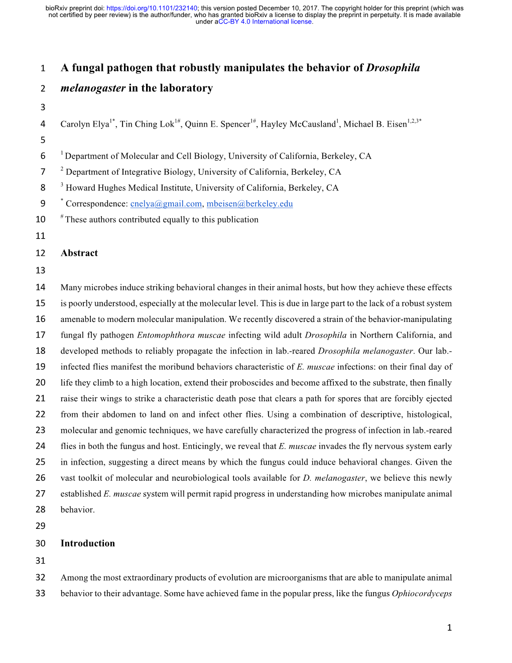 Fungal Fly Pathogen