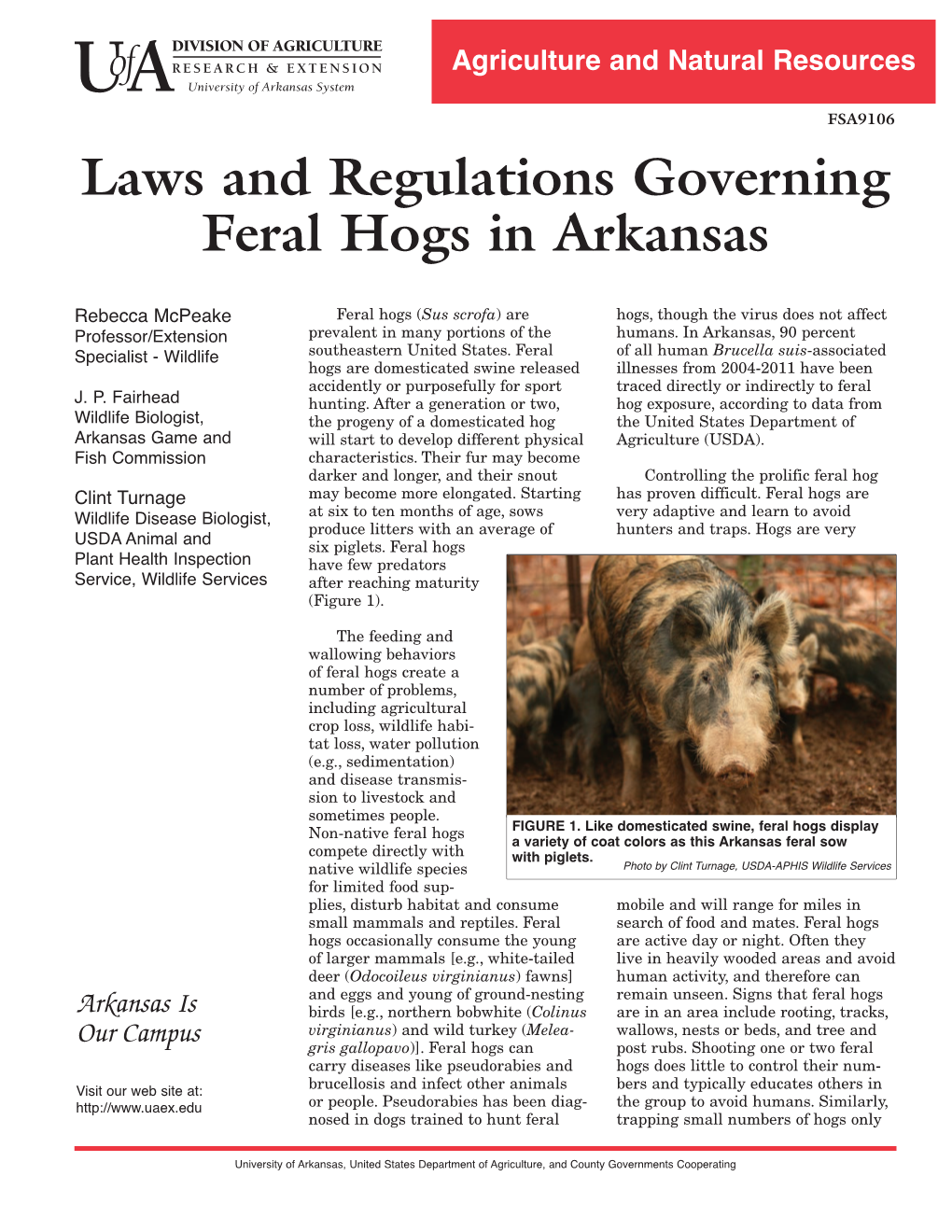 Laws and Regulations Governing Feral Hogs in Arkansas