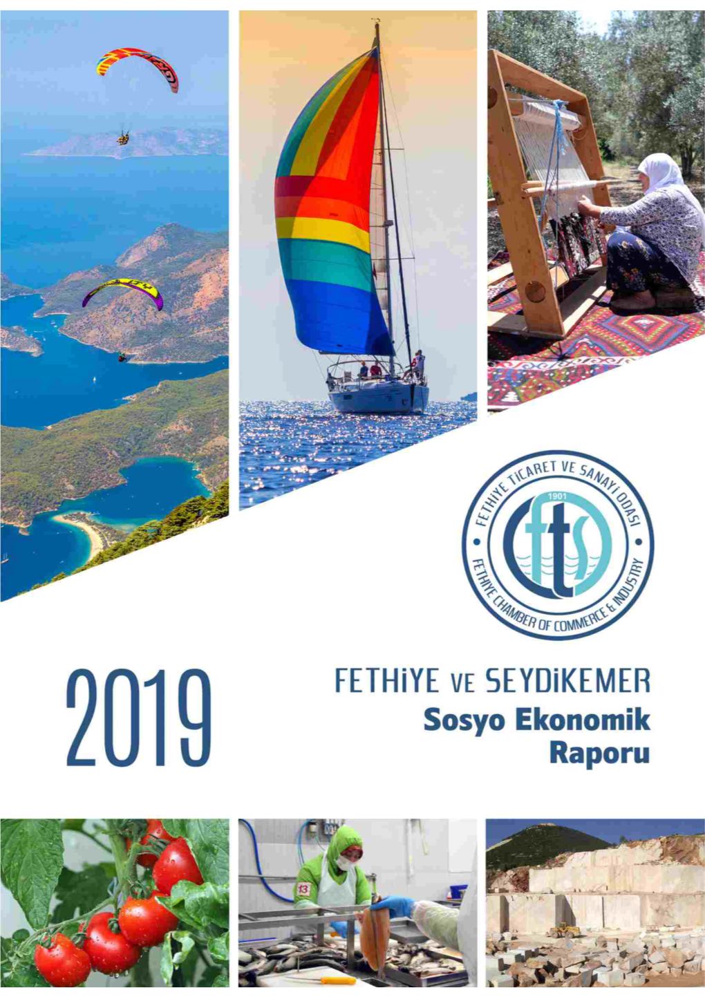 Seydikemer 2019 Sosyo Ekonomik Raporu