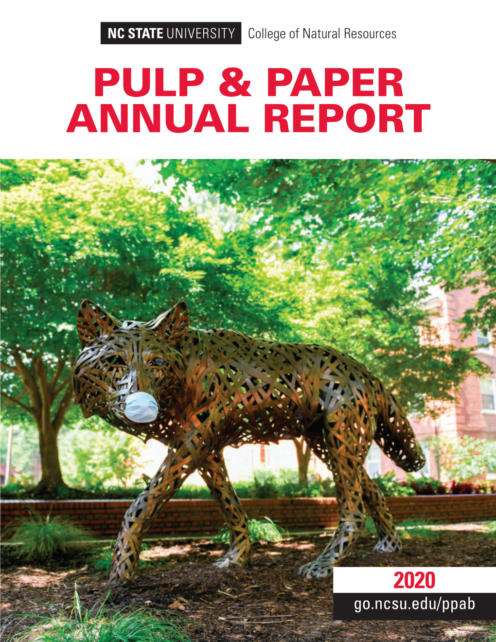 2020 Pulp and Paper Annual Report
