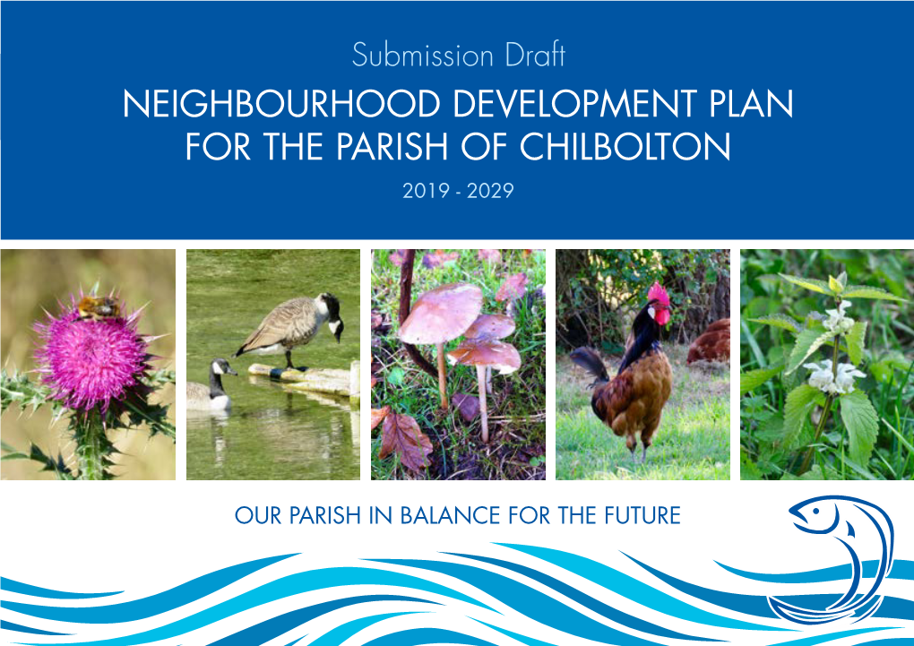 Chilbolton NDP Submission Draft