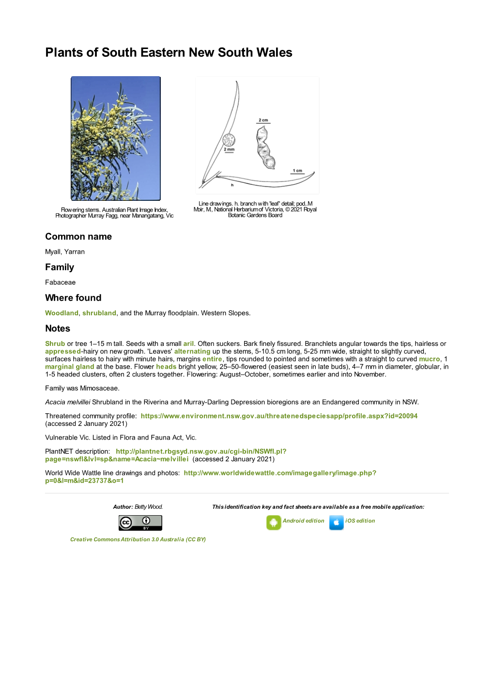 Acacia Melvillei Shrubland in the Riverina and Murray-Darling Depression Bioregions Are an Endangered Community in NSW