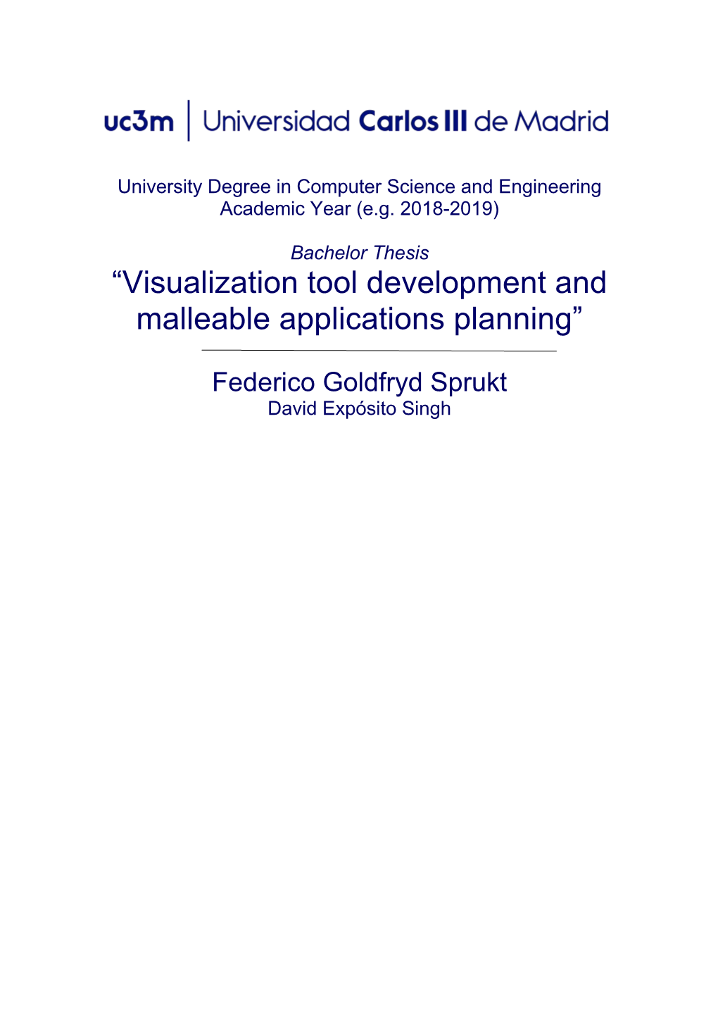 “Visualization Tool Development and Malleable Applications Planning”