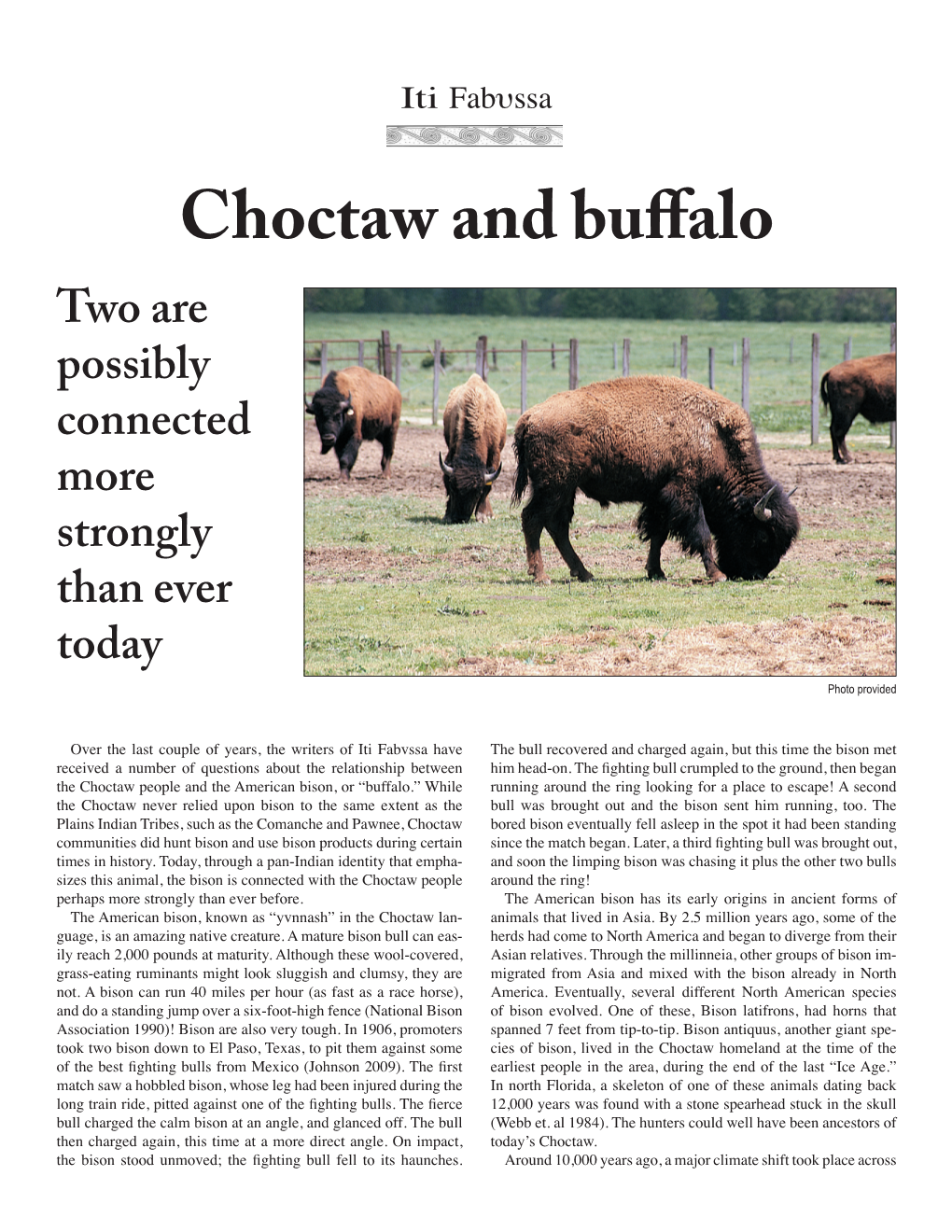 2012.01 Choctaw and Buffalo