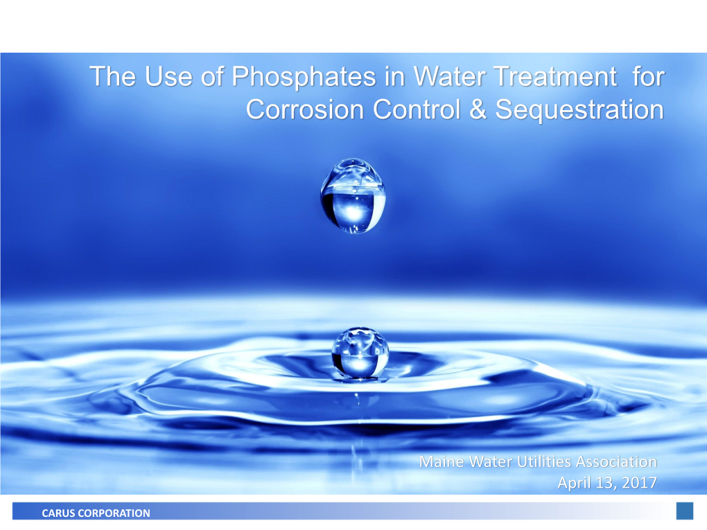 The Use of Phosphates in Water Treatment for Corrosion Control & Sequestration