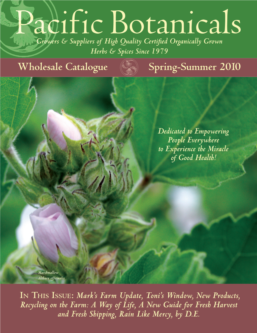 Wholesale Catalogue Spring-Summer 2010