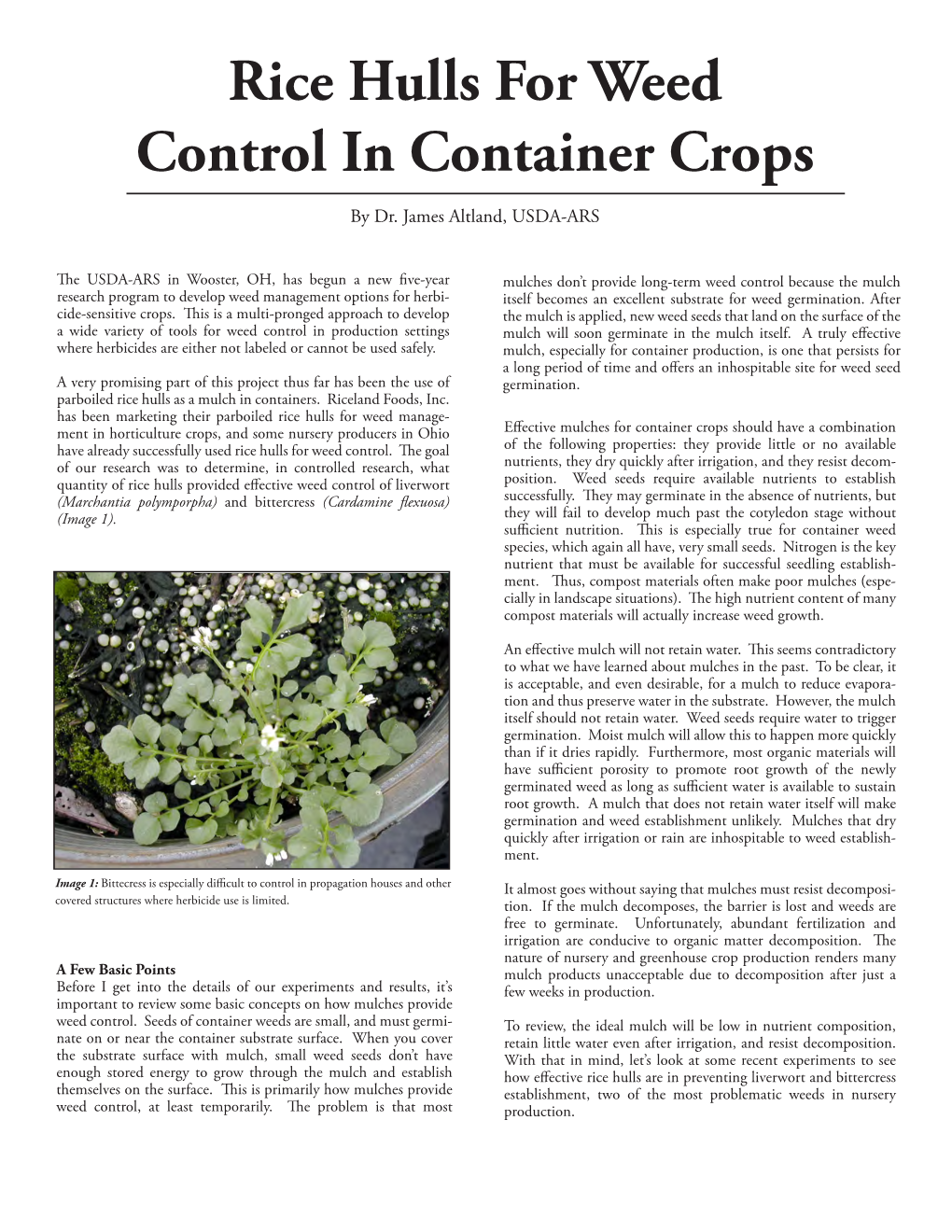 Rice Hulls for Weed Control in Container Crops