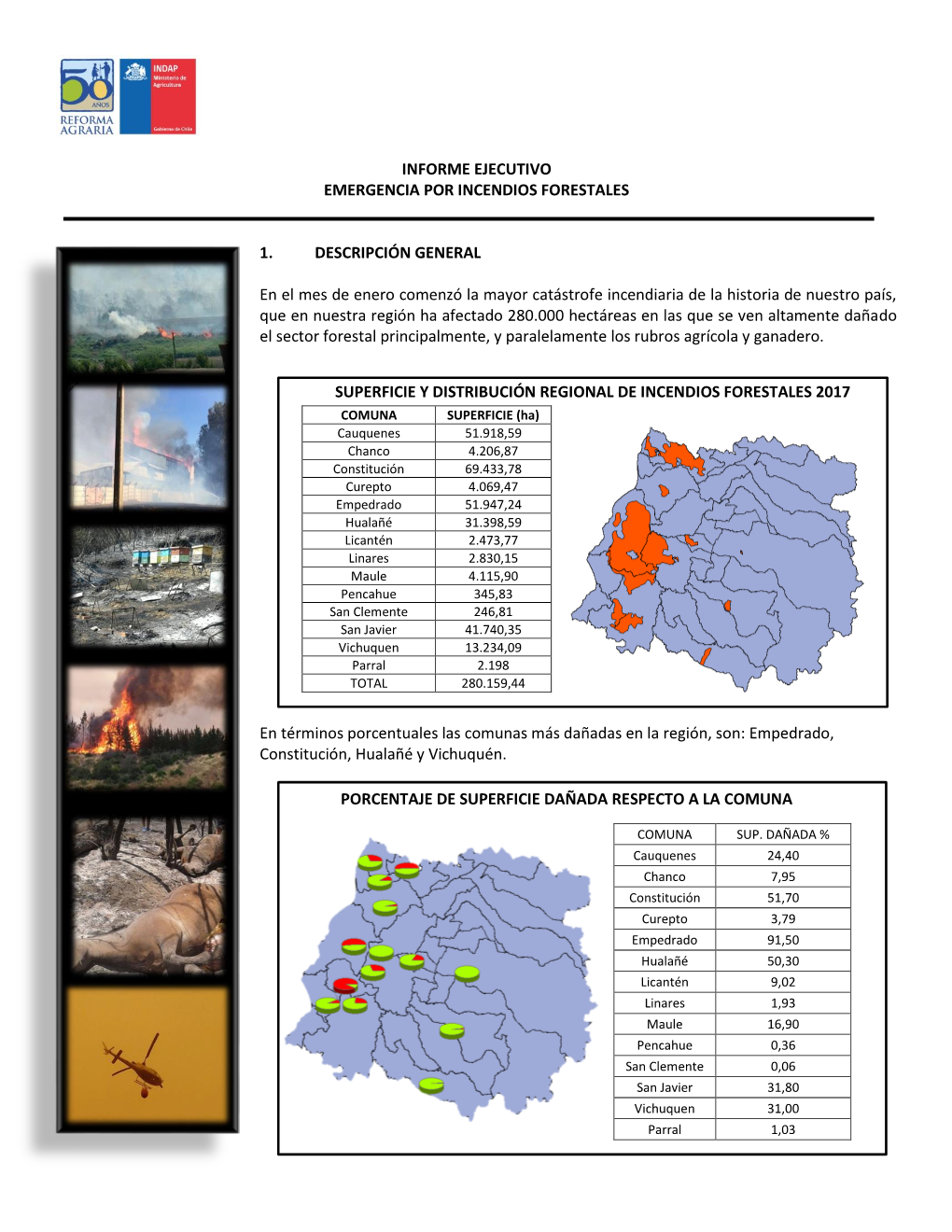 Informe Ejecutivo Emergencia Por Incendios Forestales 1