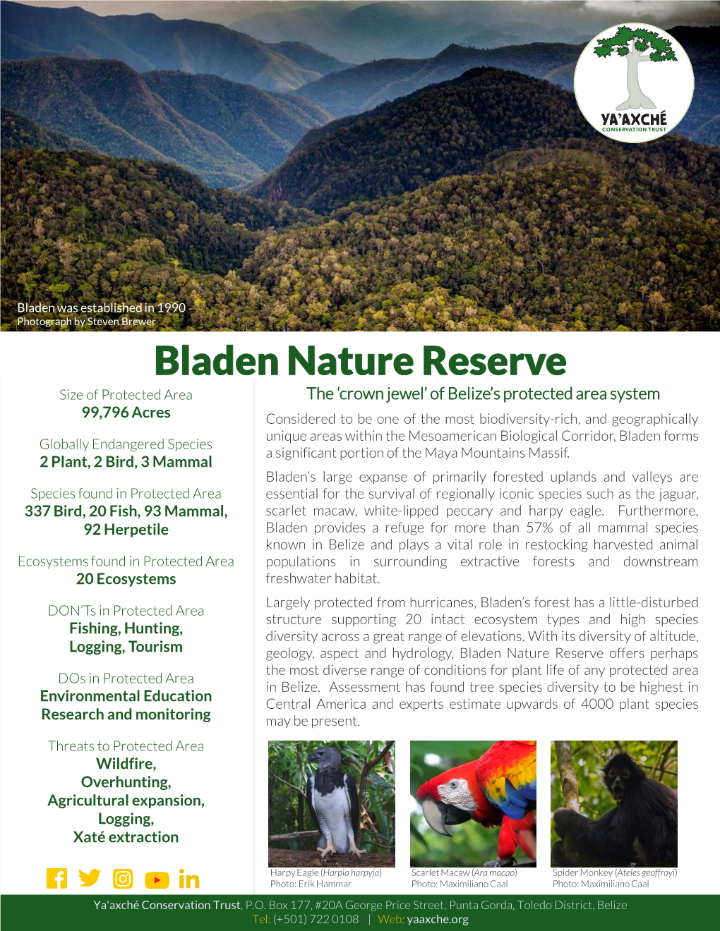 Bladen Nature Reserve Poster