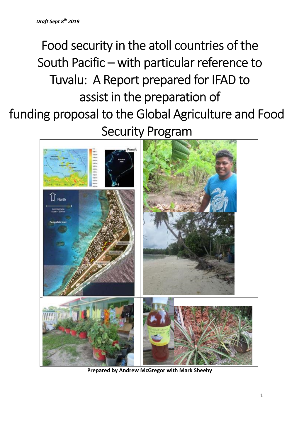 GAFSP Sifwap Tuvalu Market Study