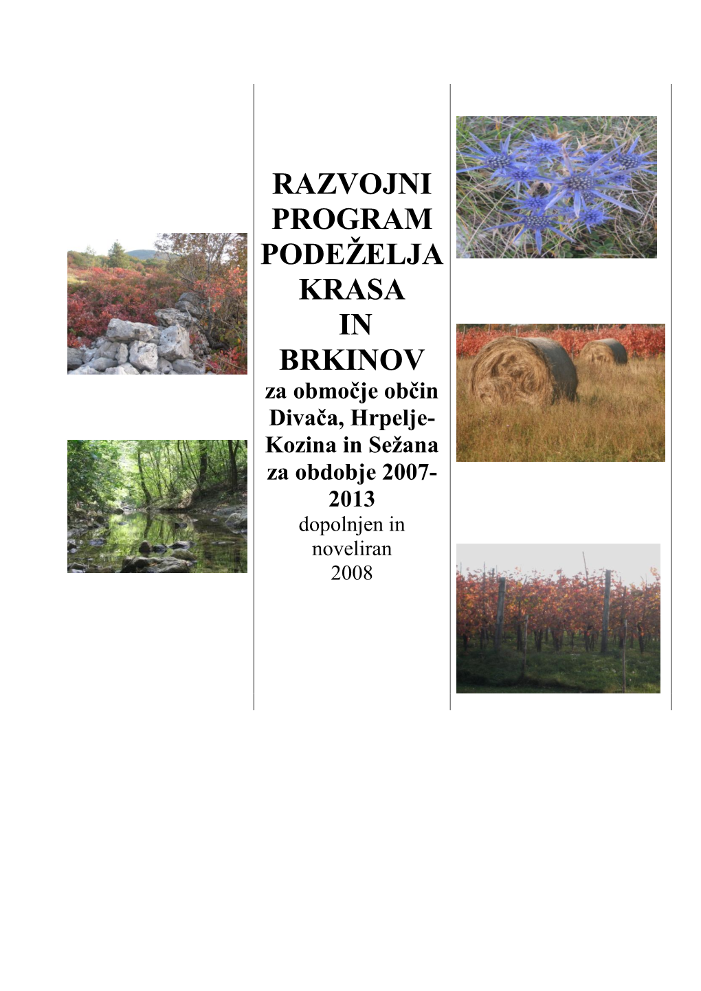 RAZVOJNI PROGRAM PODEŽELJA OBČIN Divača, Hrpelje-Kozina In