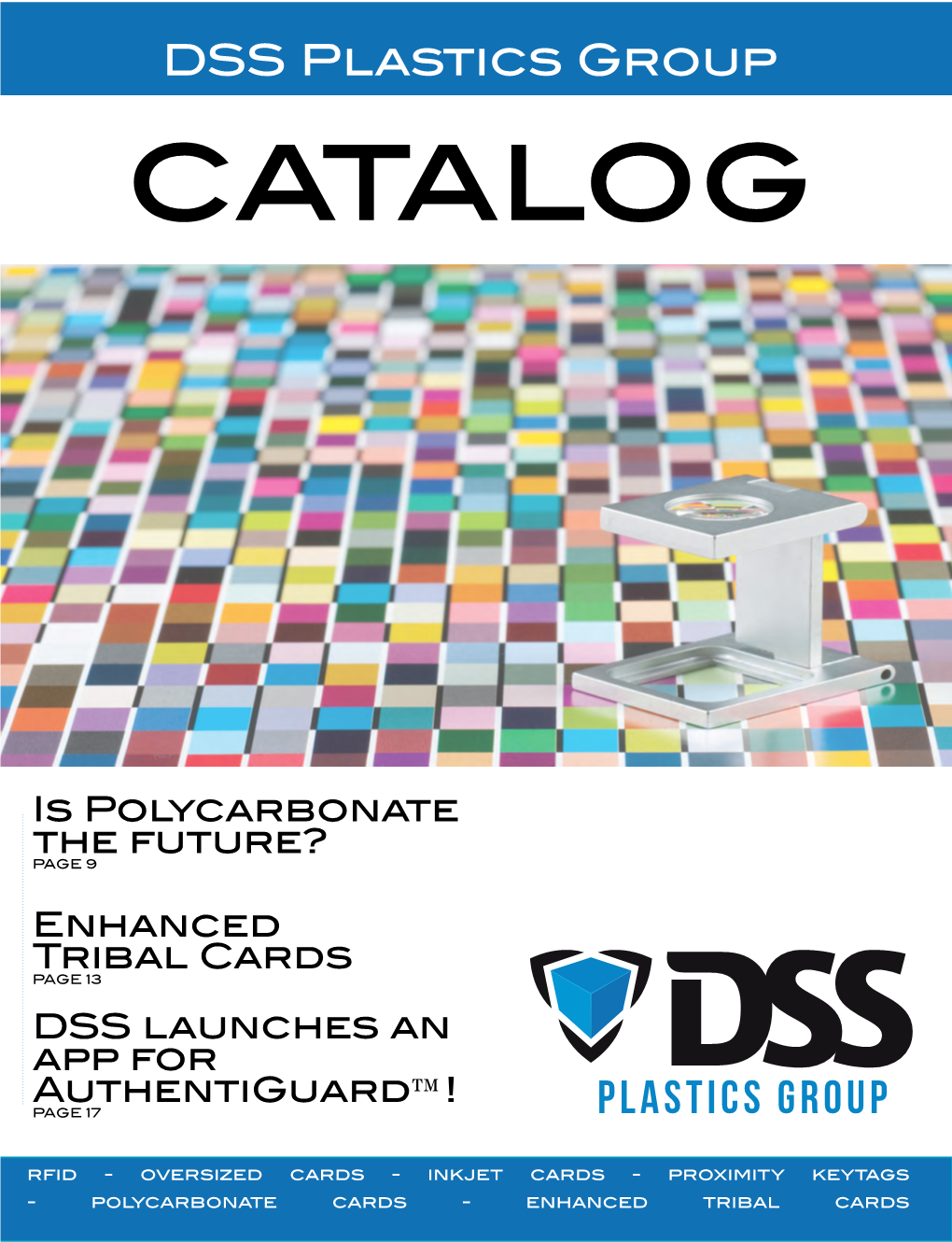DSS Plastics Group 2017 Catalog