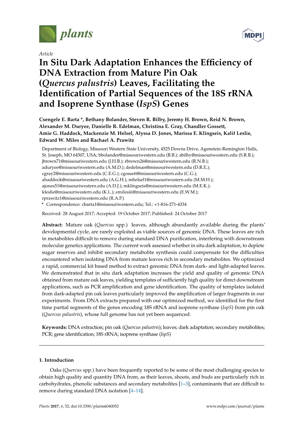 In Situ Dark Adaptation Enhances the Efficiency of DNA Extraction From