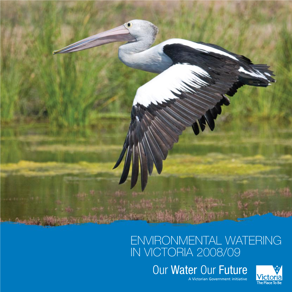 Environmental Watering in Victoria 2008/09 | 1 Environmental Watering Sites 2008/09 CONTENTS