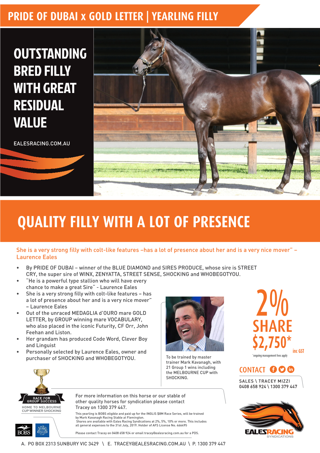 PRIDE of DUBAI X GOLD LETTER | YEARLING FILLY