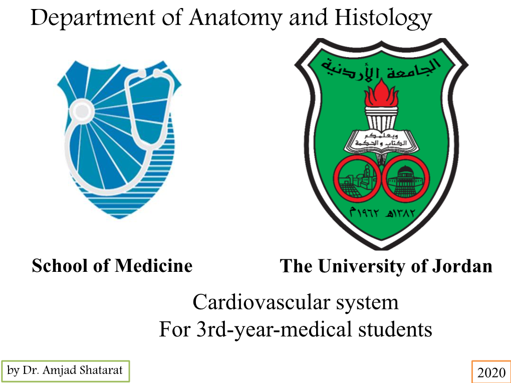 Superior Mediastinum and Great Veins A