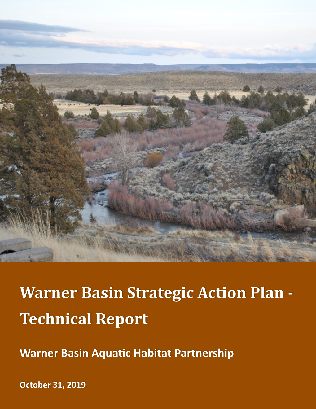 Warner Basin Strategic Action Plan – Technical Report