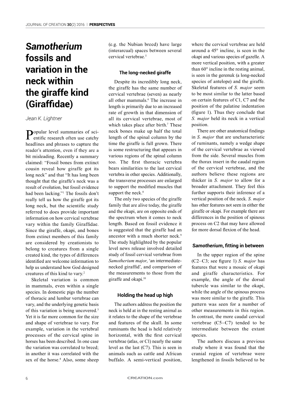 Samotherium Fossils and Variation in the Neck Within the Giraffe Kind