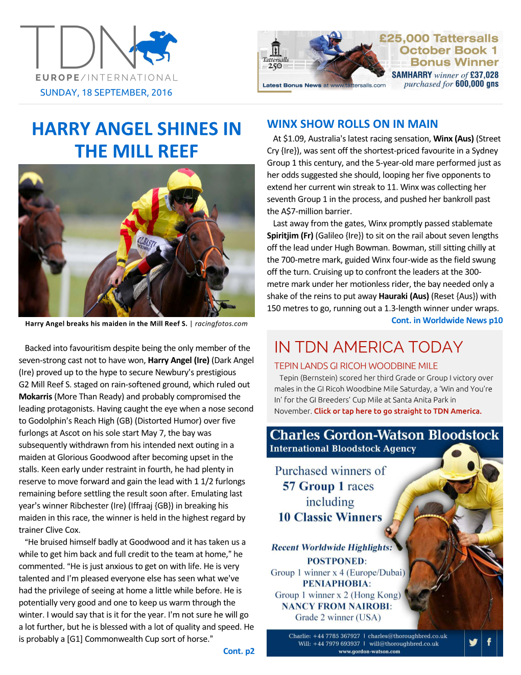 Harry Angel Shines in the Mill Reef