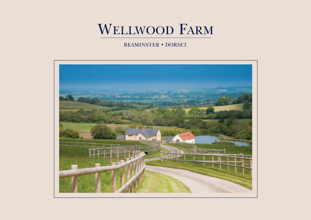Wellwood Farm Beaminster • Dorset