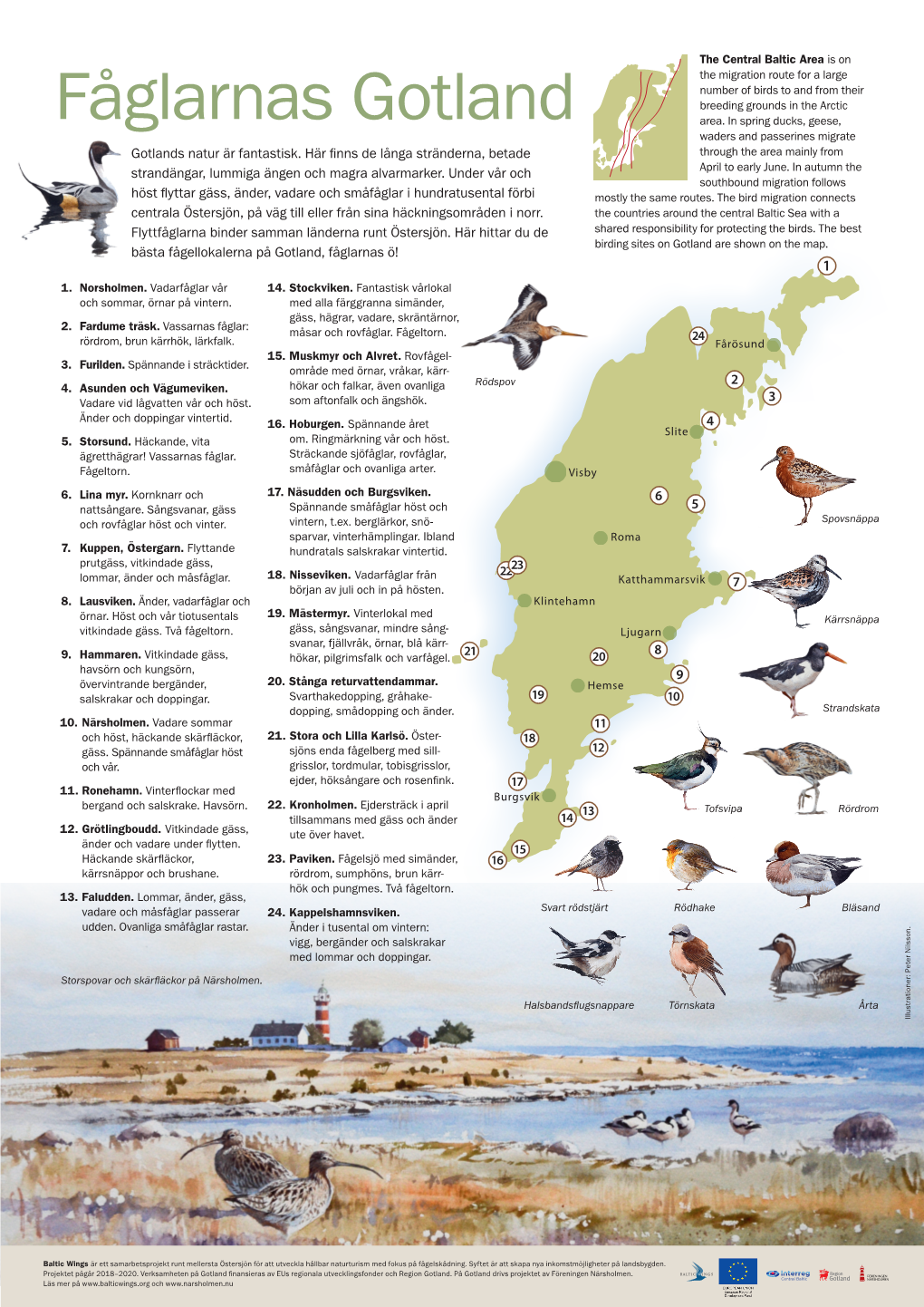 Fåglarnas Gotland Area