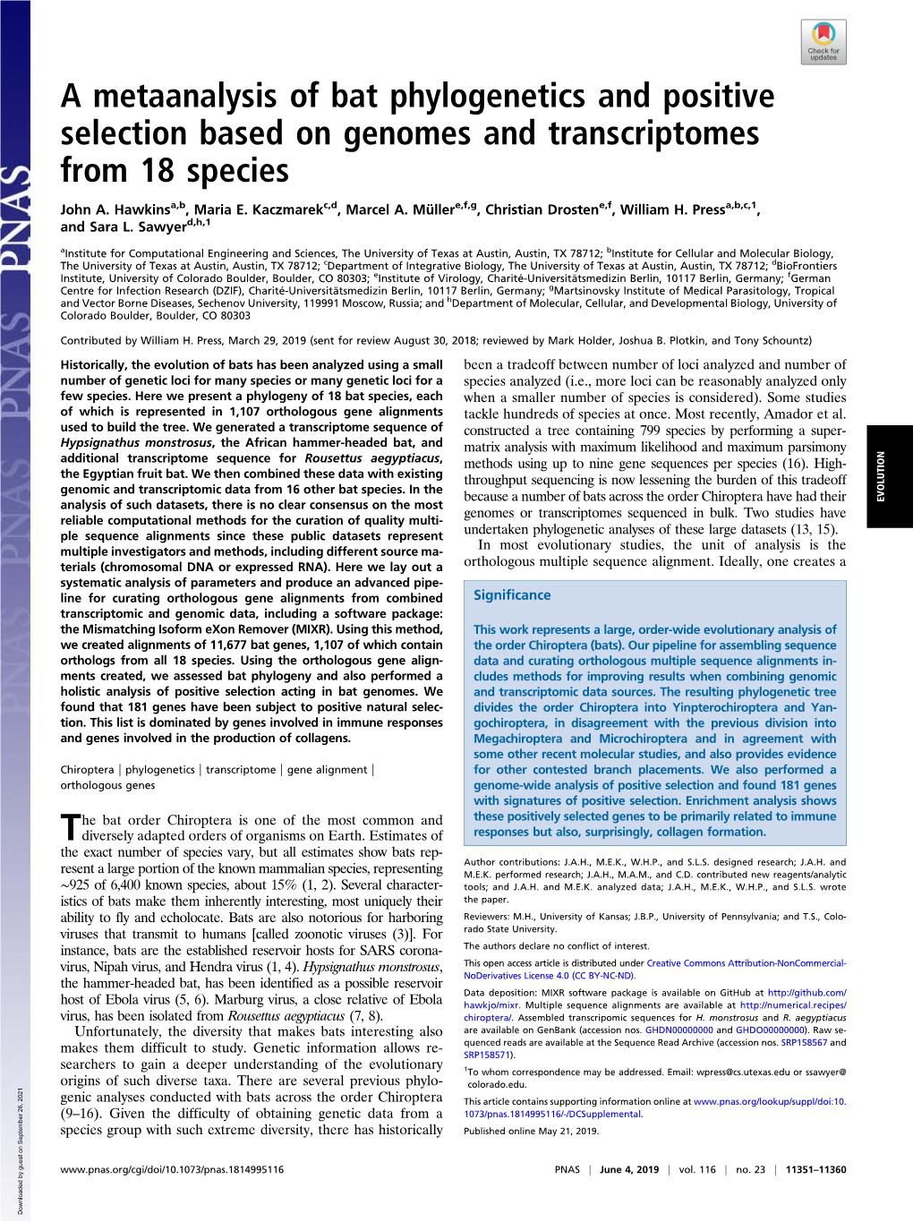 A Metaanalysis of Bat Phylogenetics and Positive Selection Based on Genomes and Transcriptomes from 18 Species