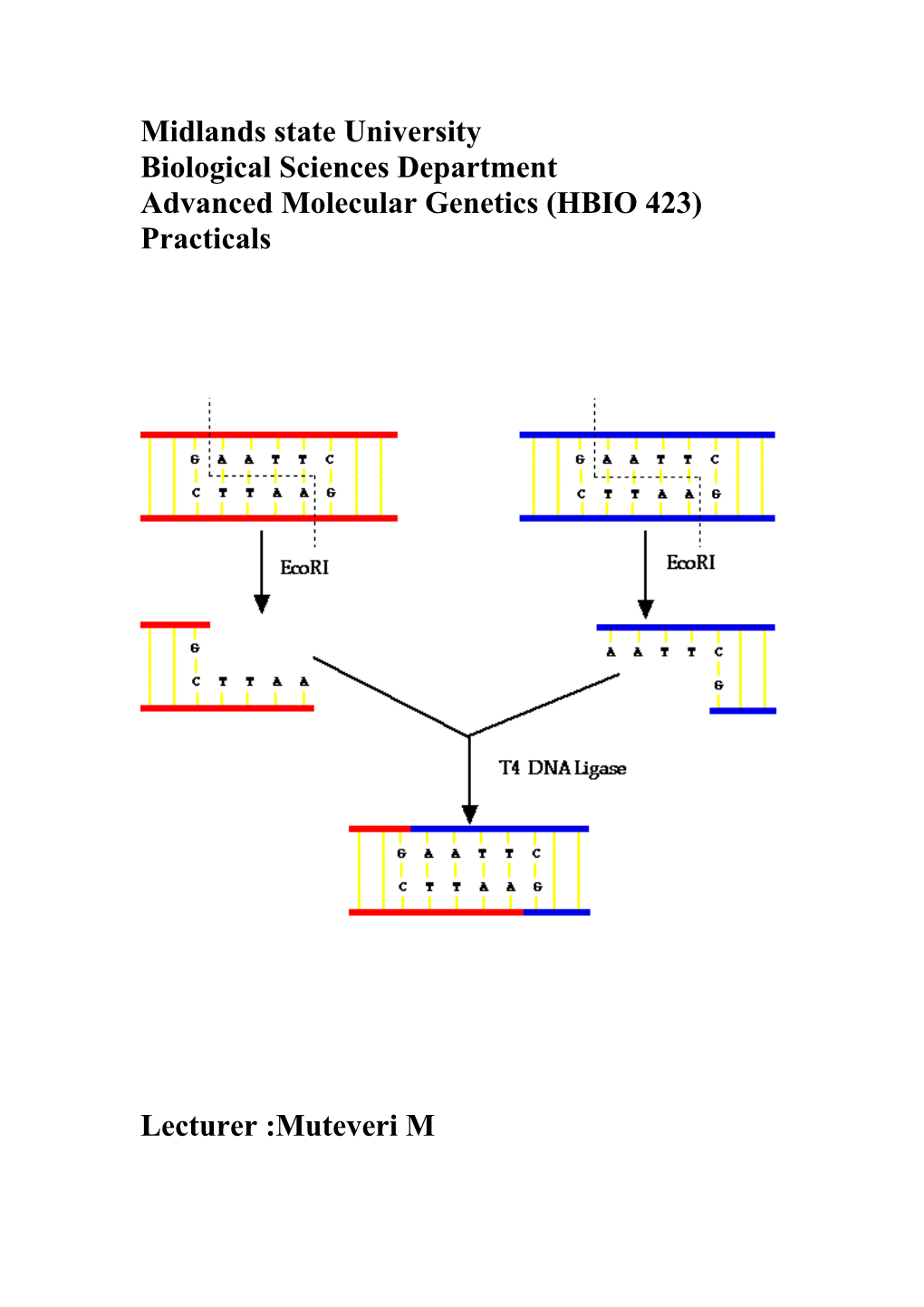 Advanced Molecular Genetics (HBIO 423) Practicals