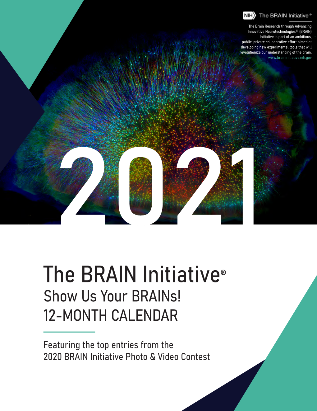 Download the 2021 BRAIN Initiative Calendar