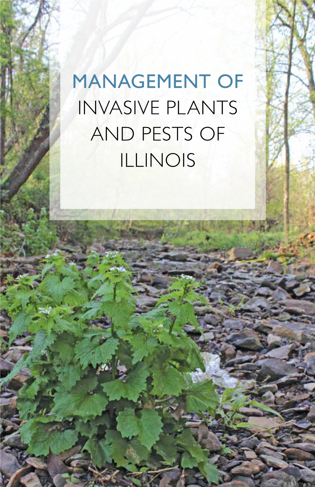 Management of Invasive Plants And