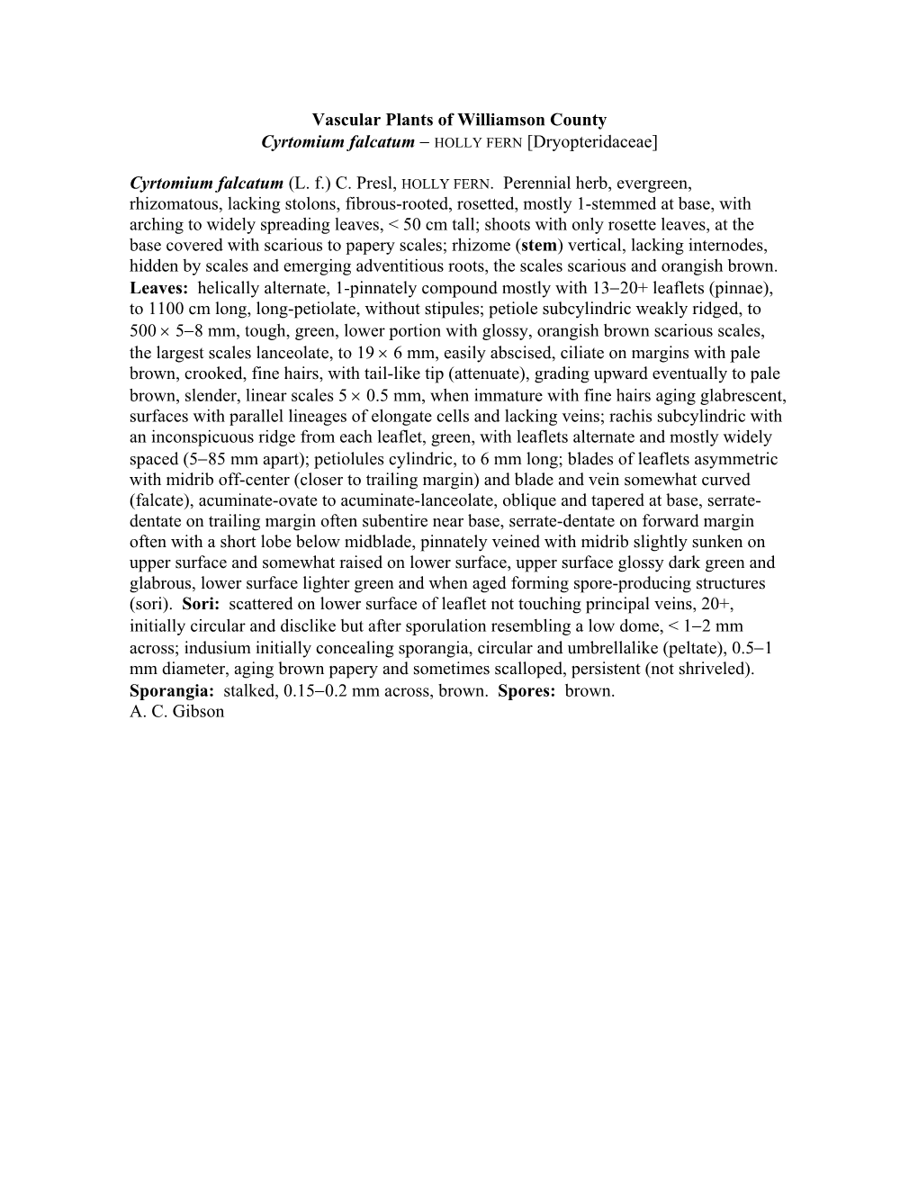 Vascular Plants of Williamson County Cyrtomium Falcatum − HOLLY FERN [Dryopteridaceae]