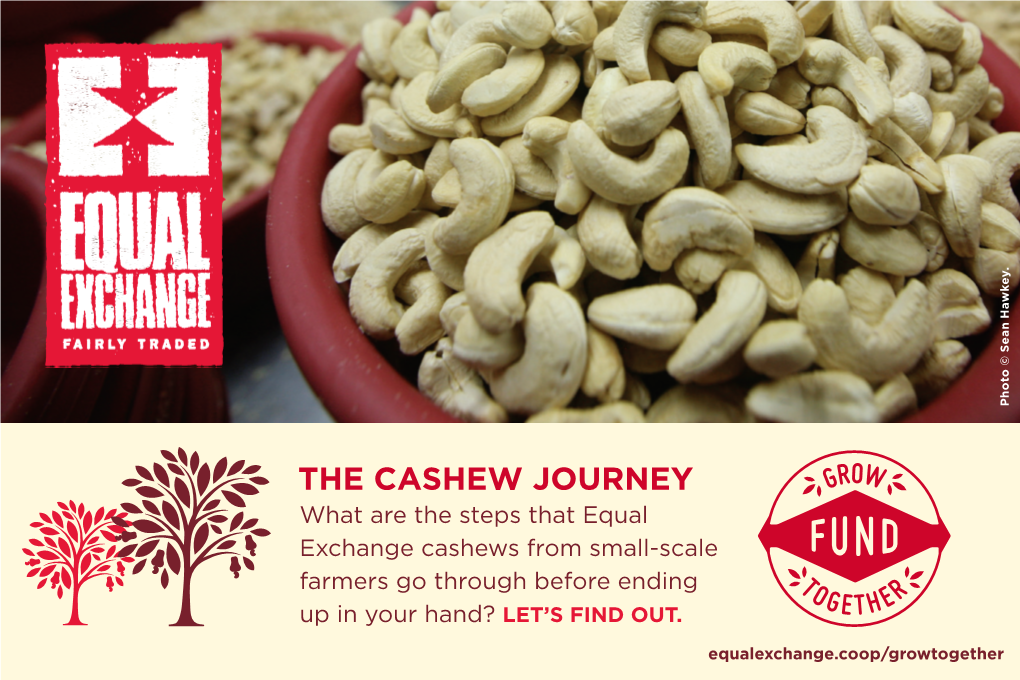 THE CASHEW JOURNEY What Are the Steps That Equal Exchange Cashews from Small-Scale Farmers Go Through Before Ending up in Your Hand? LET’S FIND OUT