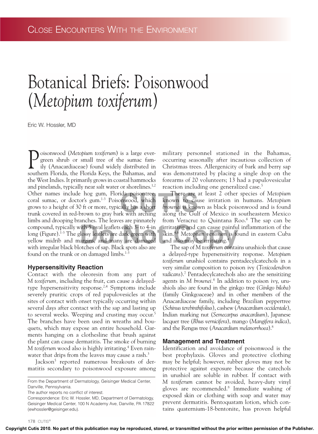 Poisonwood (Metopium Toxiferum)