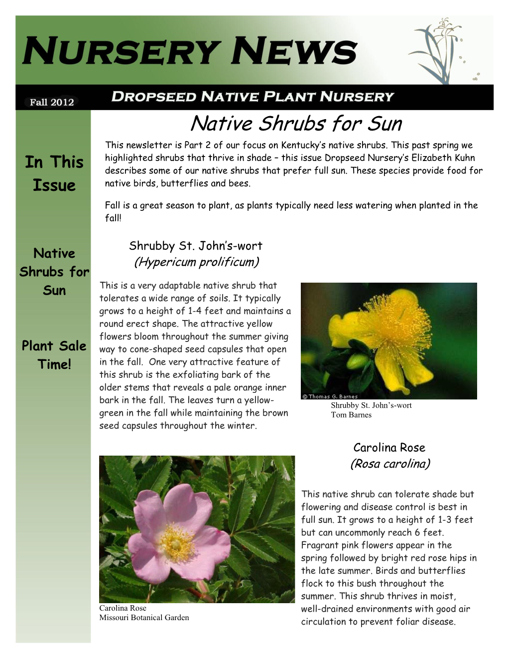 Native Shrubs for Sun This Newsletter Is Part 2 of Our Focus on Kentucky’S Native Shrubs
