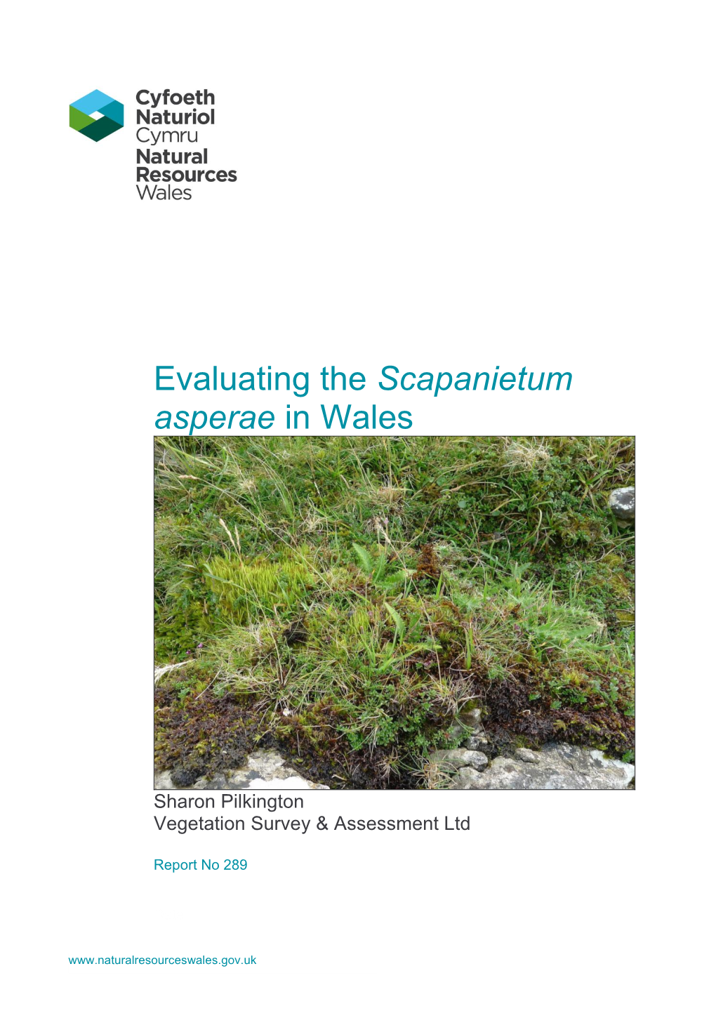 Evaluating the Scapanietum Asperae in Wales