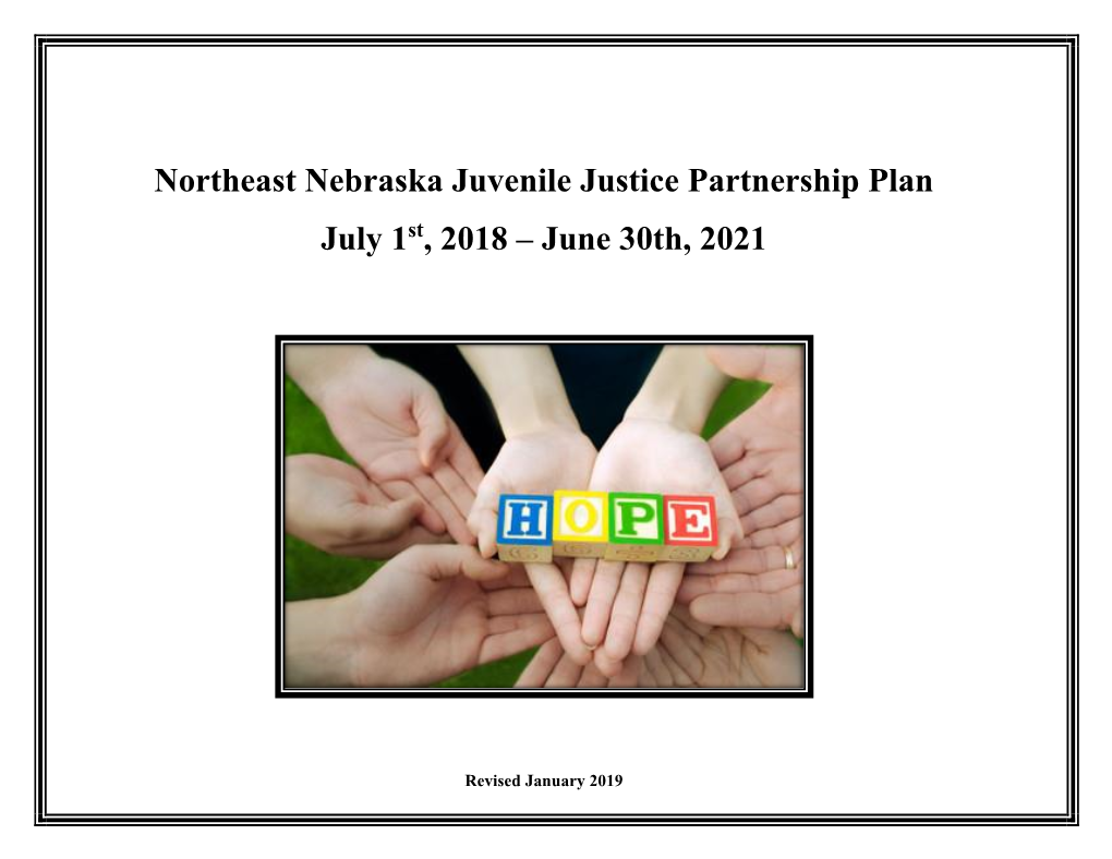 Northeast Nebraska Juvenile Justice Partnership Plan July 1St, 2018 – June 30Th, 2021