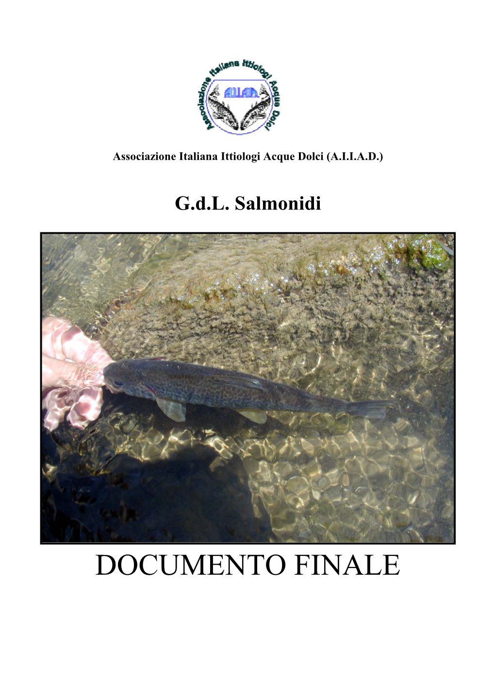 Documento Finale