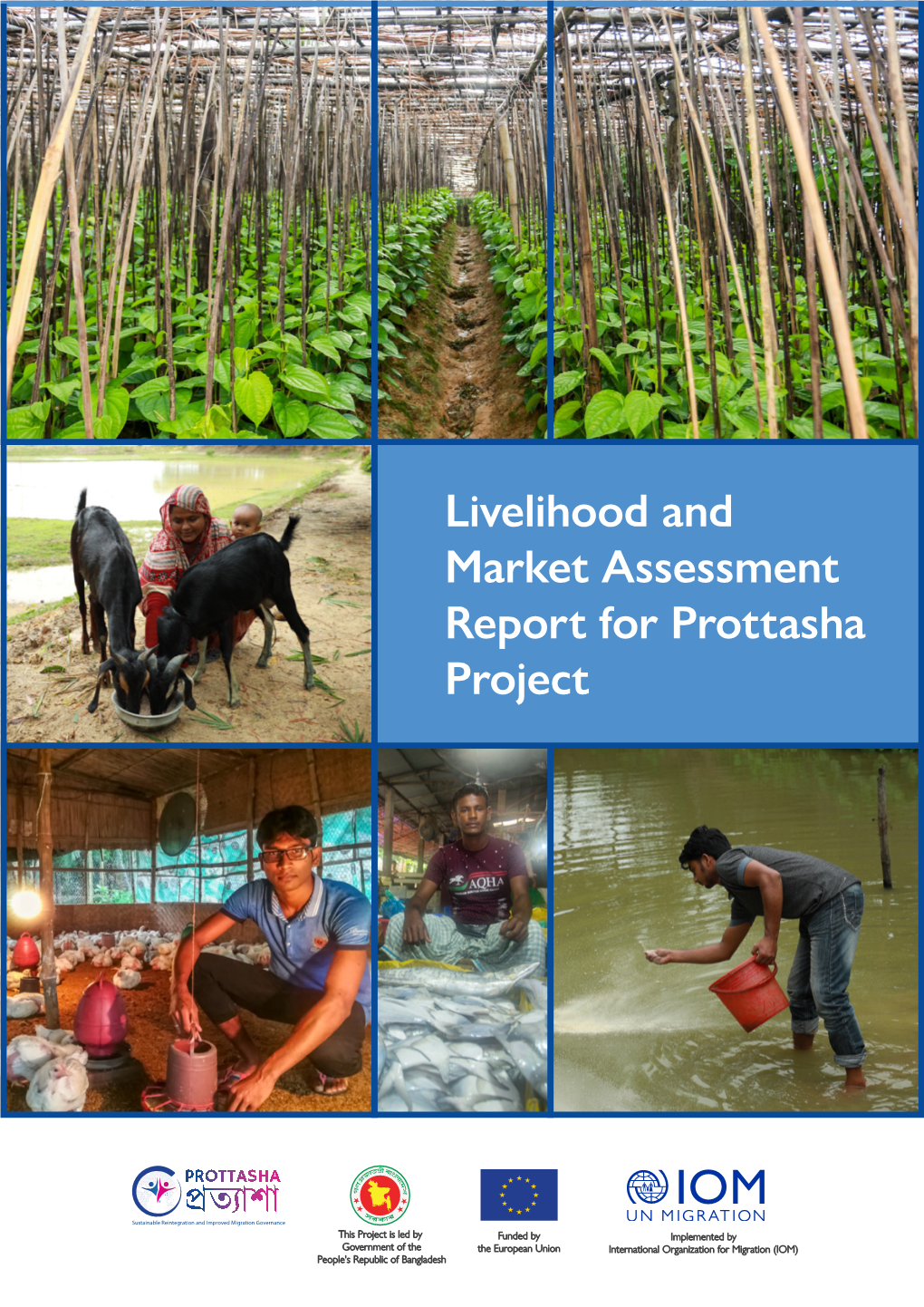 Livelihood and Market Assessment Report for Prottasha Project