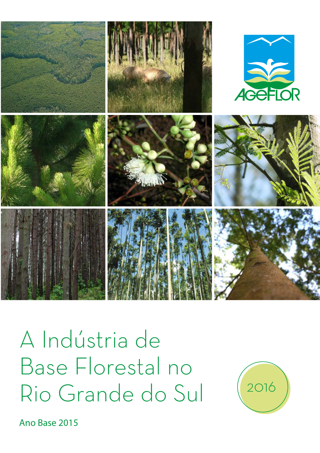 A Indústria De Base Florestal No Rio Grande Do Sul 2016