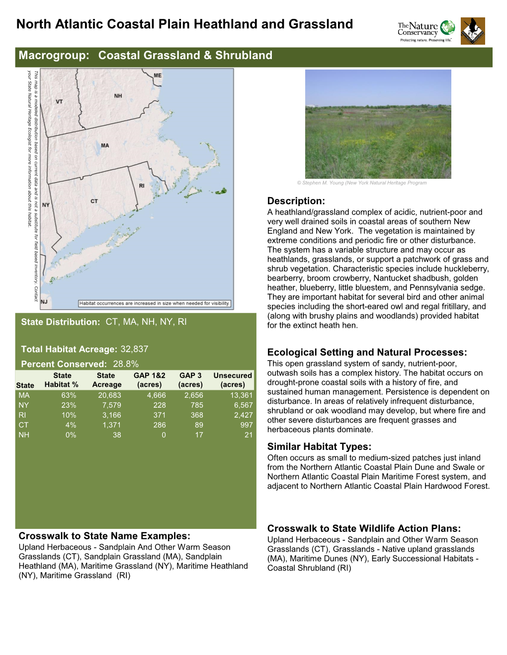 North Atlantic Coastal Plain Heathland and Grassland