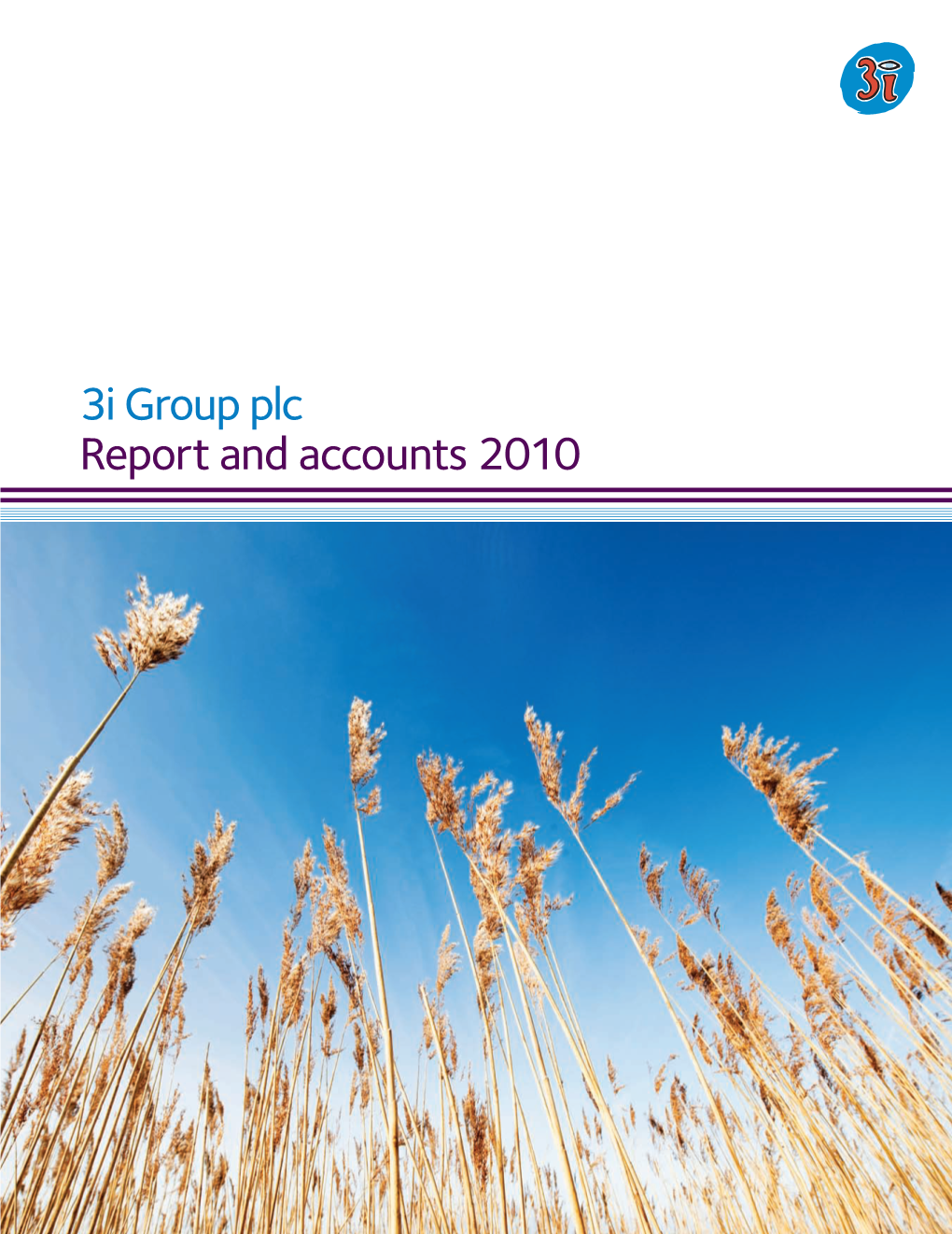 3I Group Plc Annual Report and Accounts 2010