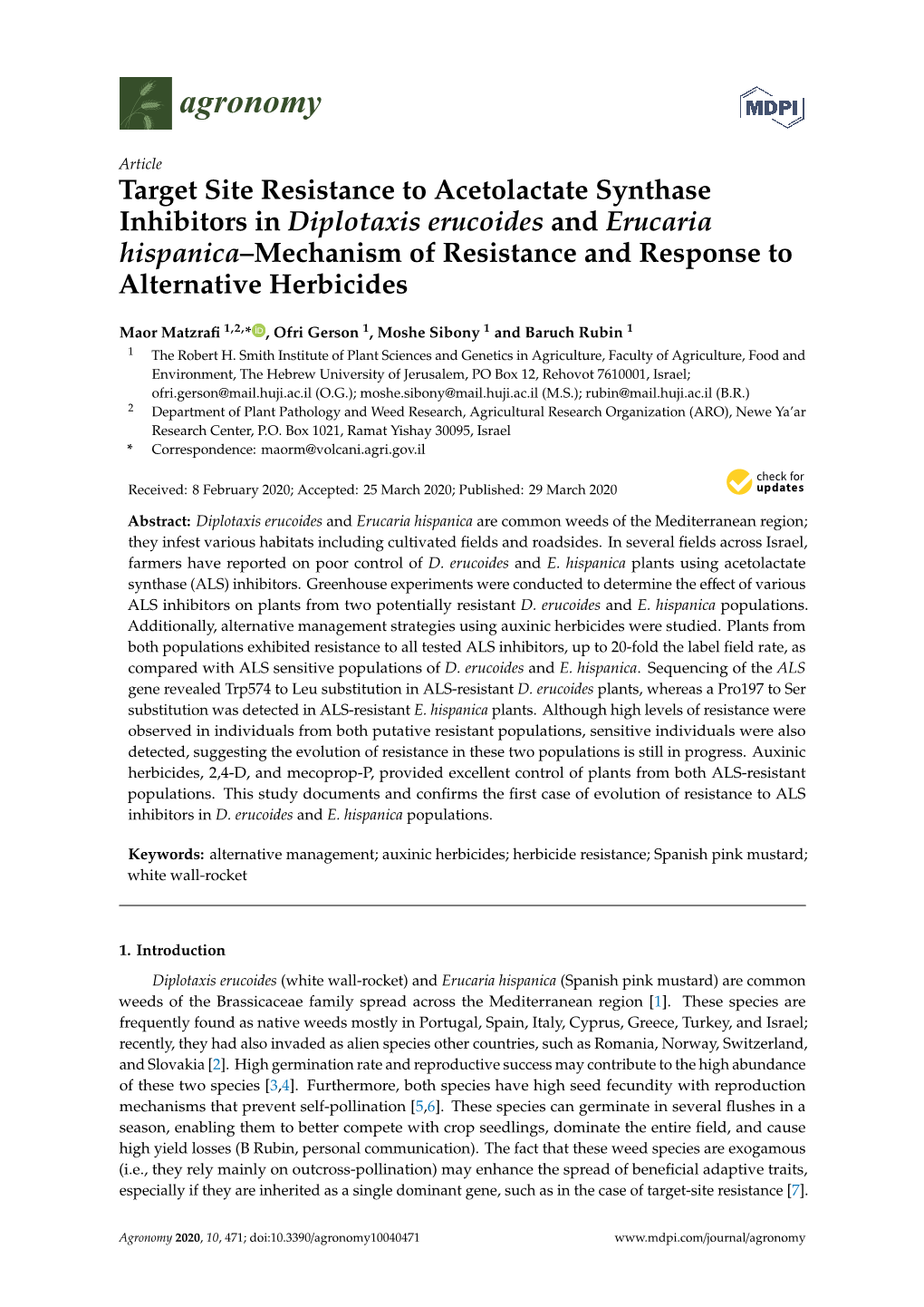 Target Site Resistance to Acetolactate Synthase Inhibitors in Diplotaxis Erucoides and Erucaria Hispanica–Mechanism of Resista