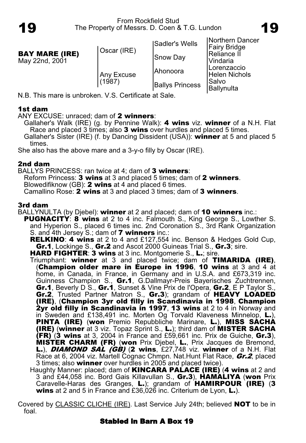 From Rockfield Stud the Property of Messrs. D. Coen & T.G. Lundon