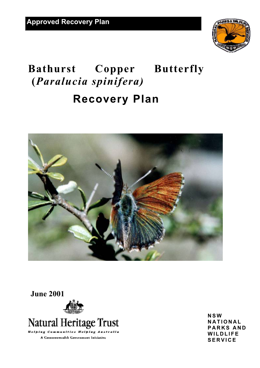 Recovery Plan for the Bathurst Copper Butterfly (Paralucia Spinifera)